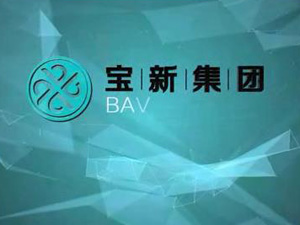 上海寶新集團(tuán)形象片！